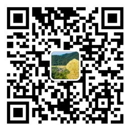 网盟彩票官网